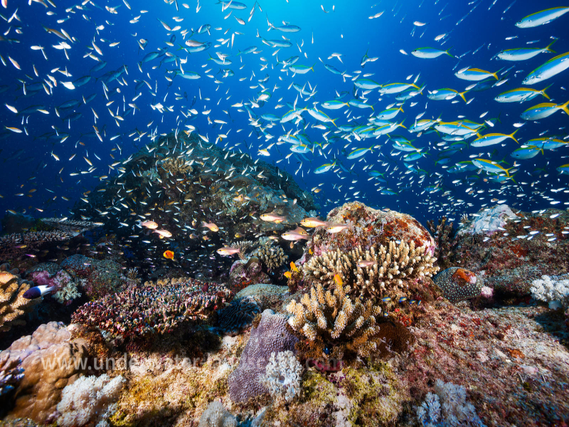 Les Rochers Magiques