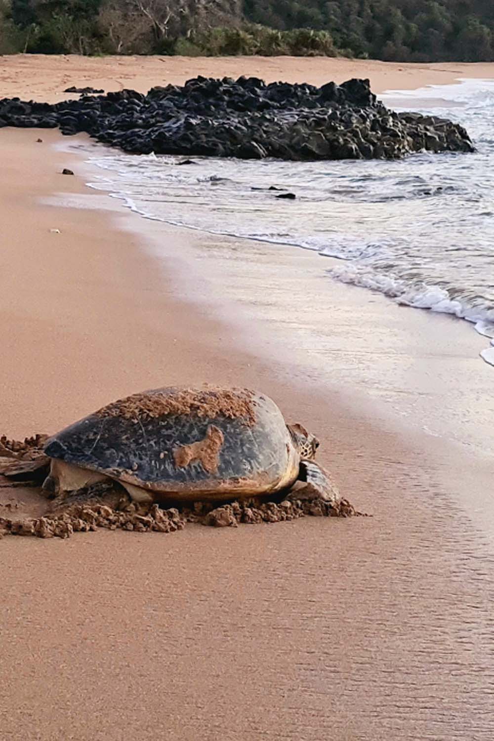 Préparer son voyage