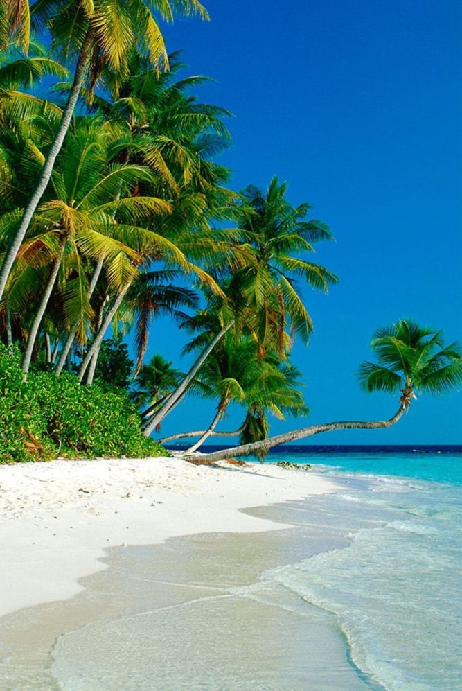 Laissez-vous tenter par des expériences inoubliables