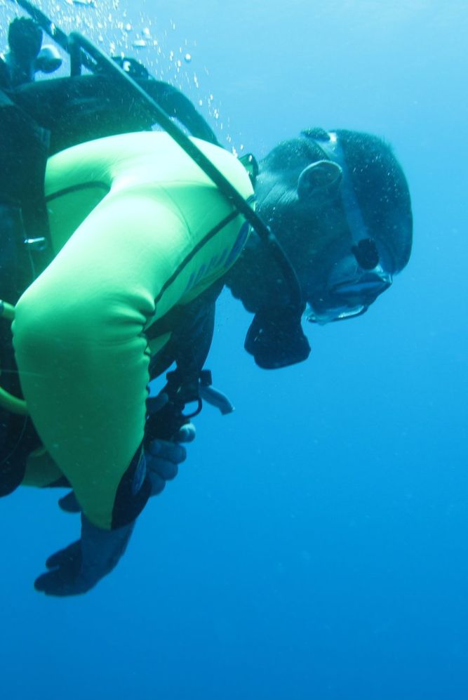 Laissez-vous tenter par des expériences inoubliables