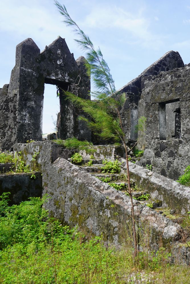 Laissez-vous tenter par des expériences inoubliables
